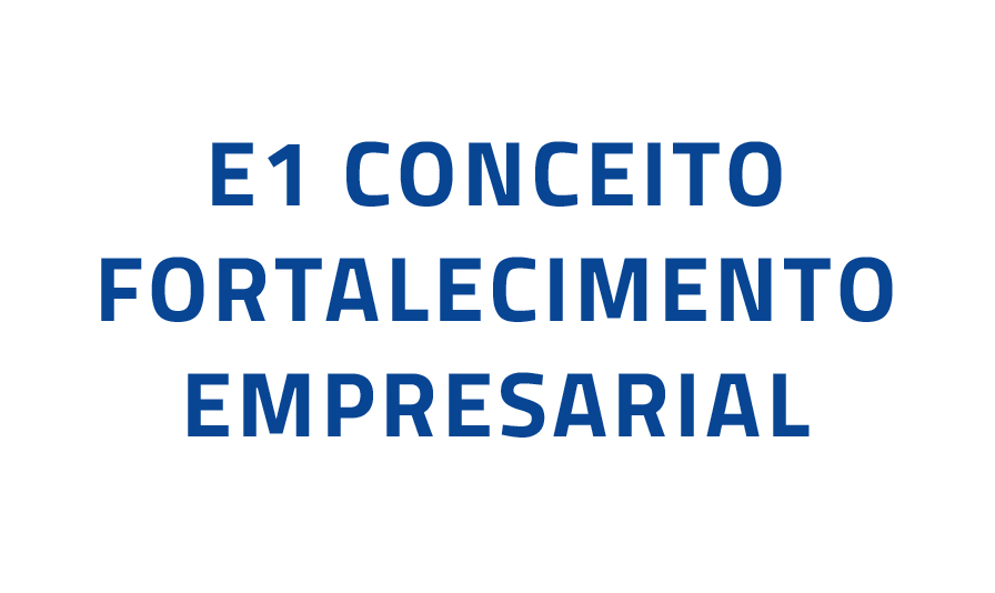 E1 CONCEITO – FORTALECIMENTO EMPRESARIAL class=